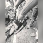 মোটরসাইকেল নিয়ন্ত্রণ হারিয়ে এক ব্যক্তির মৃত্যু - Chief TV