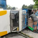 ধনবাড়ীতে পিকাপ ভ্যানের চাপায় স্কুল ছাত্রী নিহত - chief tv