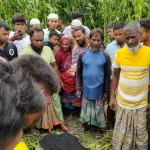 নিখোঁজের একদিন পর পাটখেতে মিলল মাদরাসাছাত্রীর লাশ - Chief TV