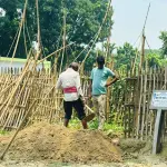 কুষ্টিয়ায় তিন মাস পর কবর থেকে গৃহবধূর লাশ উত্তোলন, মর্গে প্রেরণ - Chief TV