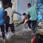 কুমিল্লায় মায়ের হাত ফসকে জলাবদ্ধ ড্রেনে পড়ে শিশুর করুণ মৃত্যু