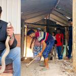 ঢাকার ধামরাই থেকে বিষধর খৈয়া গোখরা সাপ উদ্ধার - Chief TV