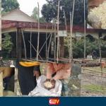 গাইবান্ধা গিদারী ইউনিয়নে ধুলা ও পোকাযুক্ত সরকারি ভিজিএফের নিম্নমানের চাল বিতরণের অভিযোগ - Chief TV
