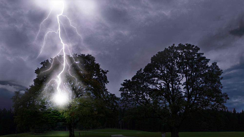 গাইবান্ধায় বজ্রপাতে শিশুসহ ৫ জন নিহত আহত ১ - Chief TV