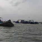 পদ্মায় ৫০ ড্রেজারে বালু উত্তোলনের অভিযোগ বিএনপি নেতার বিরুদ্ধে - chief tv