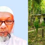 জমি দখল করে গাছ লাগানোর অভিযোগ জামায়াত নেতার বিরুদ্ধে - Chief TV