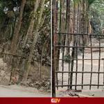 জমি নিয়ে বিরোধ, উপজেলা নির্বাহী কর্মকর্তার কাছে মালিকের অভিযোগ - Chief TV