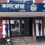 কলারোয়ায় গোসল করতে যাওয়ার পথে বজ্রপাতে কৃষকের মৃত্যু - Chief TV