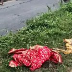 মহাসড়কের পাশে লাল শাড়ি পরিহিত অজ্ঞাত নারীর বিকৃত লাশ উদ্ধার - Chief TV