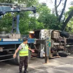 চট্টগ্রামের লোহাগাড়ায় যাত্রীবাহী বাস গাছের সঙ্গে ধাক্কা, বগুড়ার  ১০ জন আহত - chief tv