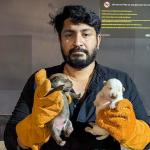 মধ্যরাতে কুকুরছানা উদ্ধার করলেন প্রতিমন্ত্রী ও বাওয়া - Chief TV