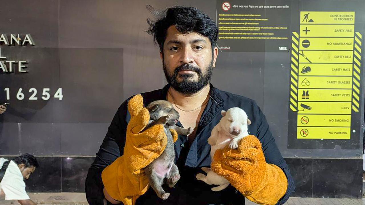 মধ্যরাতে কুকুরছানা উদ্ধার করলেন প্রতিমন্ত্রী ও বাওয়া - Chief TV