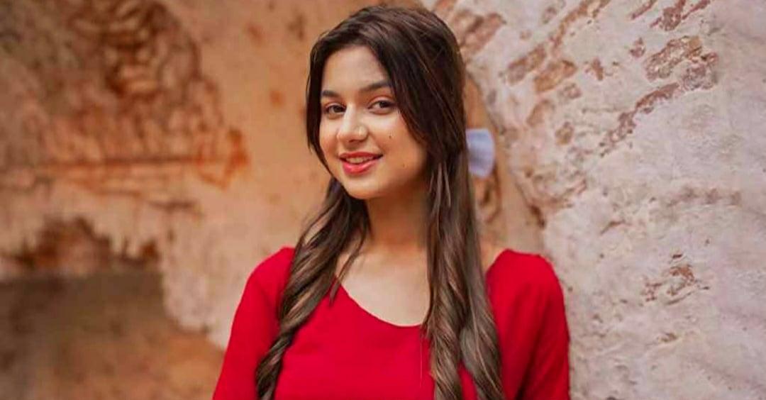 ব্যক্তিগত ভিডিও ফাঁস, সমালোচনার মুখে দেশ ছাড়লেন টিকটকার- Chief TV