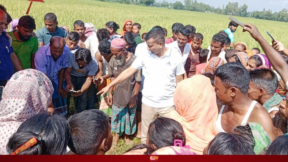বকশীগঞ্জে নিখোঁজের ১৬ ঘণ্টা পর ধানক্ষেতে মিলল শিশুর মরদেহ - Chief TV