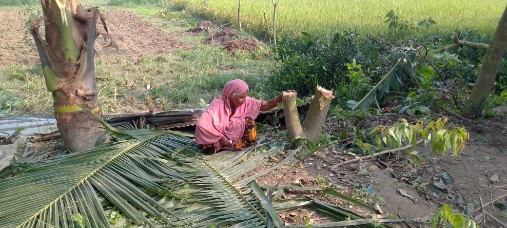 ধুনটে বসতবাড়ির ঘর ভাঙচুর ও গাছ কর্তন করে জমি দখলের চেষ্টা- Chief TV