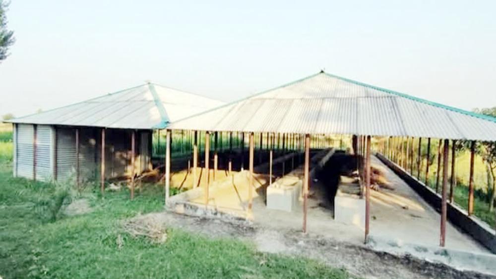 কোটি টাকার প্রকল্প এখন ভূতের বাড়ি - Chief TV