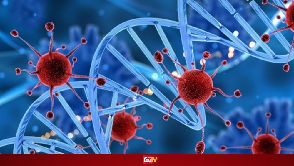 ক্যানসার থেরাপিতে বিপ্লব, আবিষ্কৃত হলো ‘সুপার টি-সেল’ - Chief TV