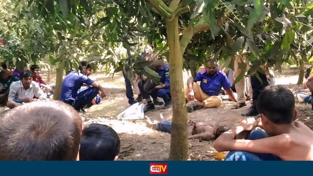 নওগাঁয় আমবাগানে অজ্ঞাত ব্যক্তির মরদেহ উদ্ধার - Chief TV