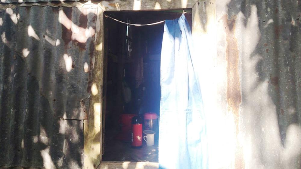 ওসমান হাদির গ্রামের বাড়িতে চুরি