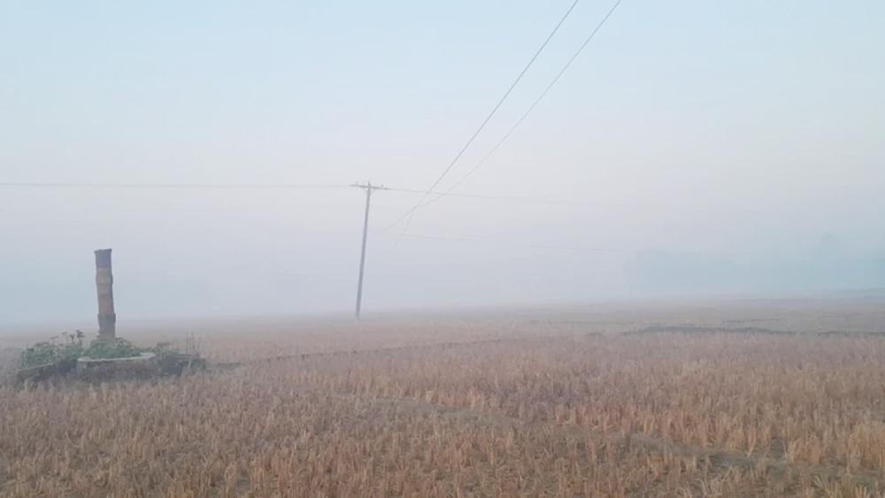 পঞ্চগড়ে তাপমাত্রার পারদ নেমে ৮ ডিগ্রির ঘরে - Chief TV