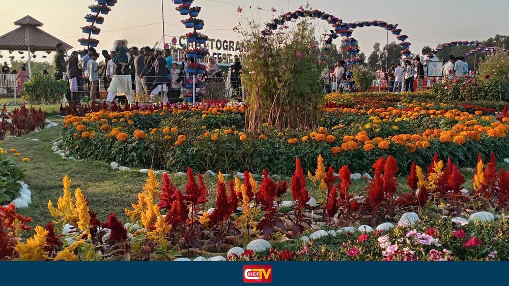 প্রকৃতির কোলে ফুলের সাম্রাজ্য — জেলা প্রশাসনের মাসব্যাপী উৎসব - Chief TV