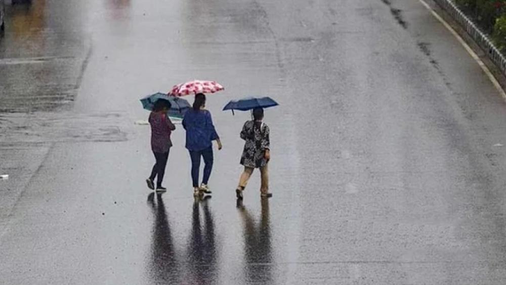 শীতের মধ্যে বৃষ্টির পূর্বাভাস দিল আবহাওয়া অধিদপ্তর - Chief TV