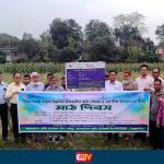 ঠাকুরগাঁওয়ে বারি পেঁয়াজ-৫ বীজ উৎপাদনে মাঠ দিবস অনুষ্ঠিত - Chief TV