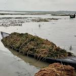 পানিতে তলিয়ে গেছে কৃষকের কষ্টের ফসল - Chief TV