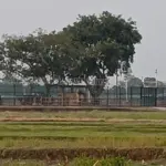 লালমনিরহাট সীমান্তে পুশইনে ব্যর্থ হয়ে বিএসএফের ককটেল বিস্ফোরণ - Chief TV