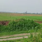 যমুনার চর থেকে ৪ খামারিকে অপহরণ, ২০ লাখ টাকা মুক্তিপণ দাবি - Chief TV