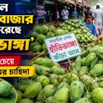 উত্তরাঞ্চলে আমের বাজার দখল করেছে ‘হাঁড়িভাঙ্গা’পাকা আমের চেয়ে কাঁচা আমের চাহিদা - Chief TV
