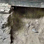ফজরের নামাজে ডাকতে গিয়ে মিলল রক্তাক্ত মরদেহ, হত্যা করে লুট - chief tv