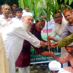 জলবায়ু পরিবর্তন বিষয়ে সচেতনতা ও বৃক্ষরোপণ কর্মসূচি অনুষ্ঠিত - Chief TV