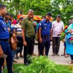 দুটি গাঁজা গাছ উদ্ধার, ইউএনওর নেতৃত্বে অভিযানে ধ্বংস - Chief TV
