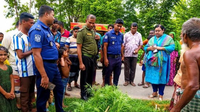 দুটি গাঁজা গাছ উদ্ধার, ইউএনওর নেতৃত্বে অভিযানে ধ্বংস - Chief TV