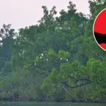 সুন্দরবন নাটক থেকে বিডিআর হত্যা : দেহরক্ষীর জবানবন্দি - Chief TV