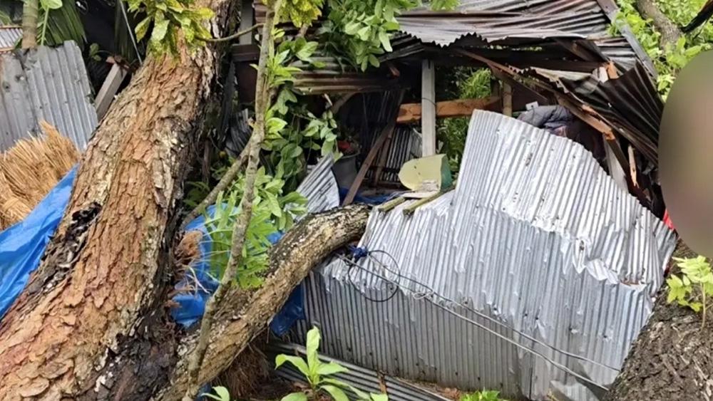 ঠাকুরগাঁওয়ে কালবৈশাখীর তাণ্ডব, বসতঘর বিধ্বস্ত - Chief TV
