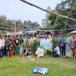 বৃক্ষরোপণের মধ্য দিয়ে কাজিপুরে ‘কাজিপুর সবুজ পথ’-এর পথচলা শুরু - Chife TV