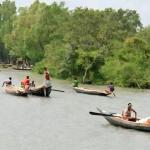 বিষ, প্লাস্টিক ও শিল্পবর্জ্যের আগ্রাসনে অস্তিত্ব সংকটে সুন্দরবন: বিপন্ন জীববৈচিত্র্য - Chief TV