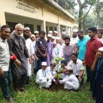 আনন্দ টিভির এমডির জন্মদিনে তাড়াশে বৃক্ষরোপণ কর্মসূচি-chief tv